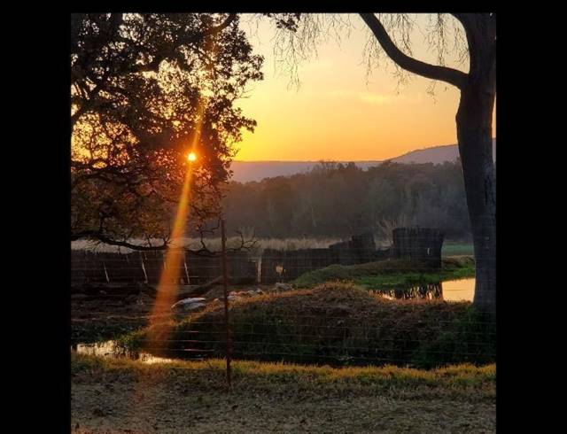 FARM FOR SALE IN ERASMIA